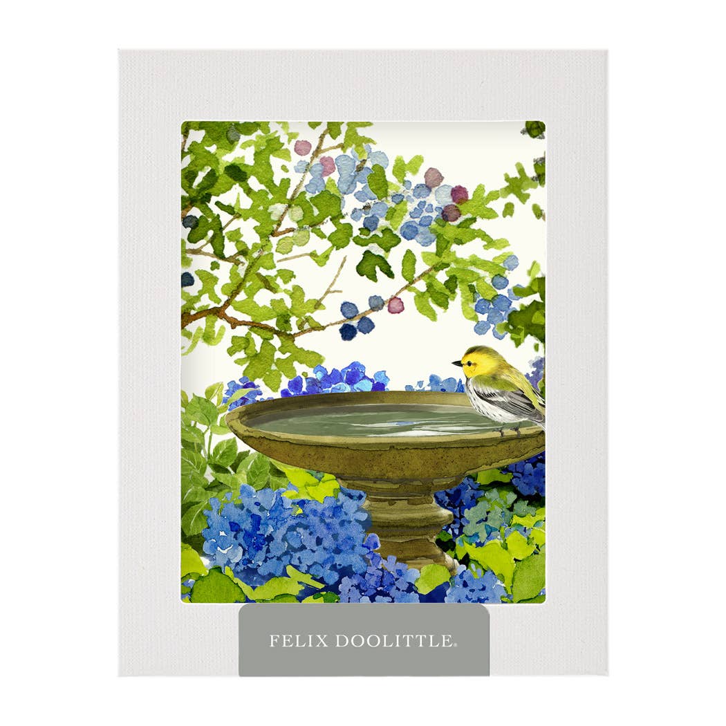 Felix Doolittle Blueberries and Blooms - Flower Boxed Greeting Cards