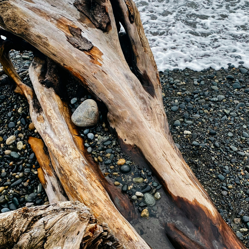 St Eval Sea Moss & Driftwood, Bubble Glass
