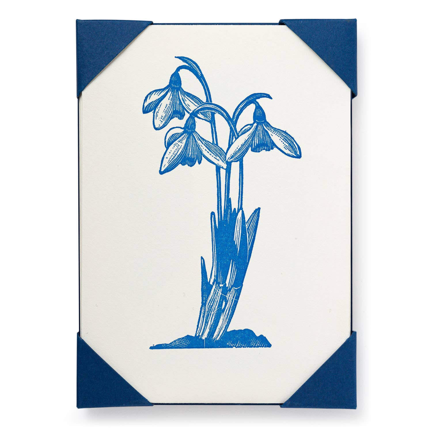 Archivist Snowdrop | Notelet Card (5-Pack)