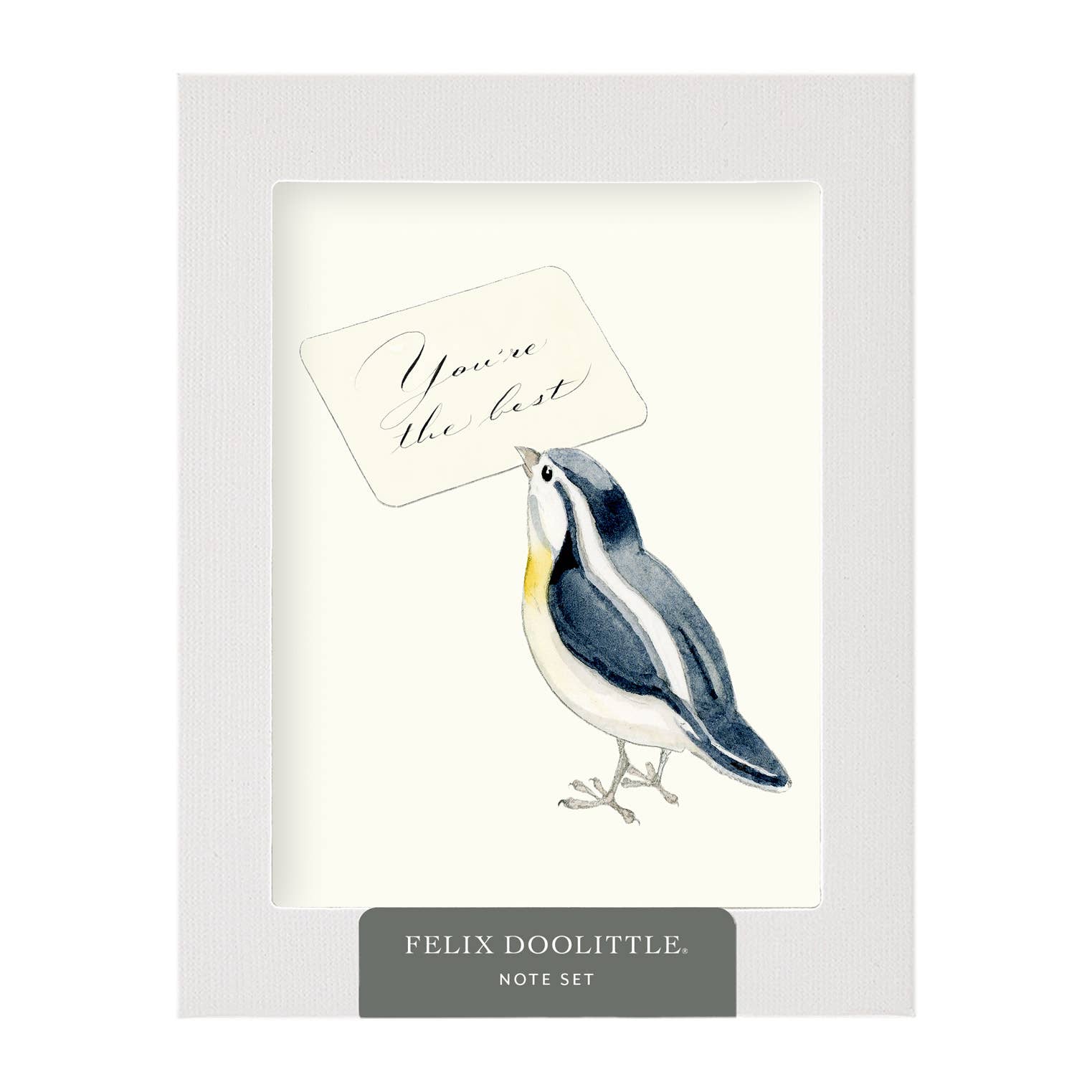 Felix Doolittle Thanks a Lot 1  -- Note Set - Themed cards, boxed