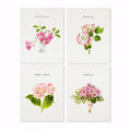 Felix Doolittle Thanks a Lot 2  - Note Set - Pink flower themed cards, boxed