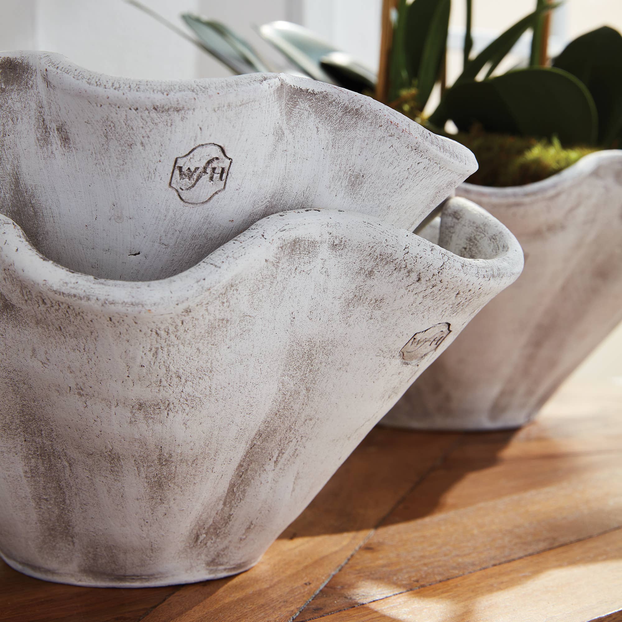 Napa Home & Garden Wakefield Handmade Wiley Pot #6, White Ash