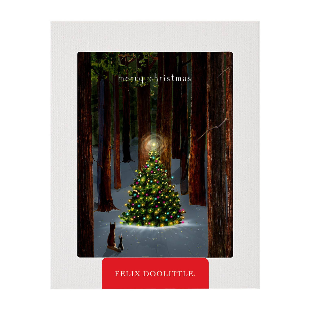 Felix Doolittle Tree Lighting - Boxed Holiday Christmas Cards