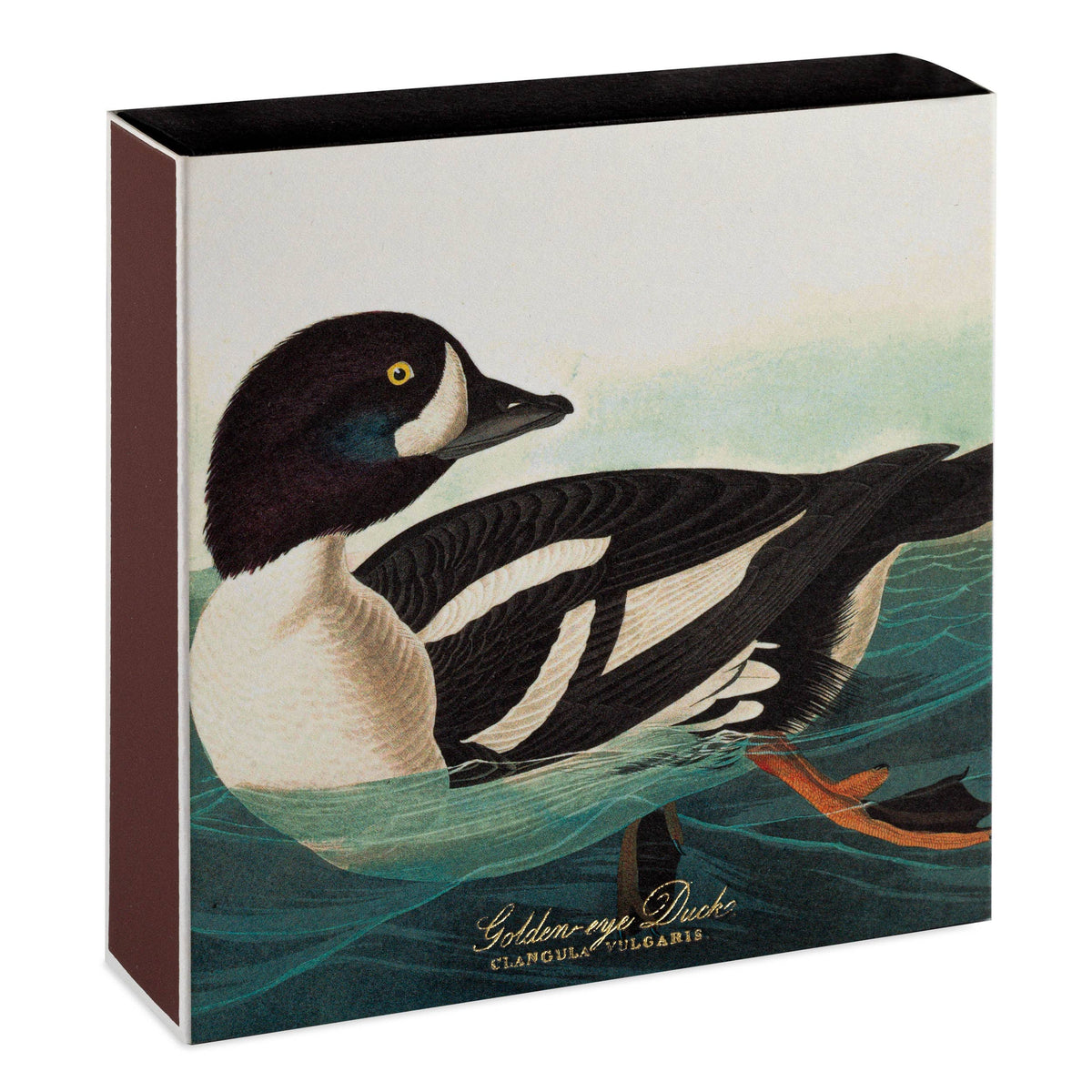 An Archivist square match Box with a goldeneye duck illustration on a white background