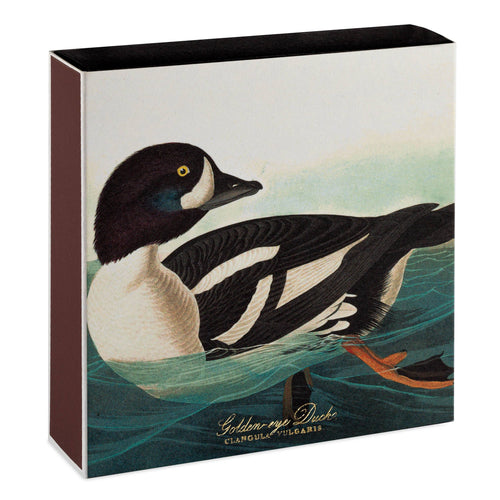 An Archivist square match Box with a goldeneye duck illustration on a white background
