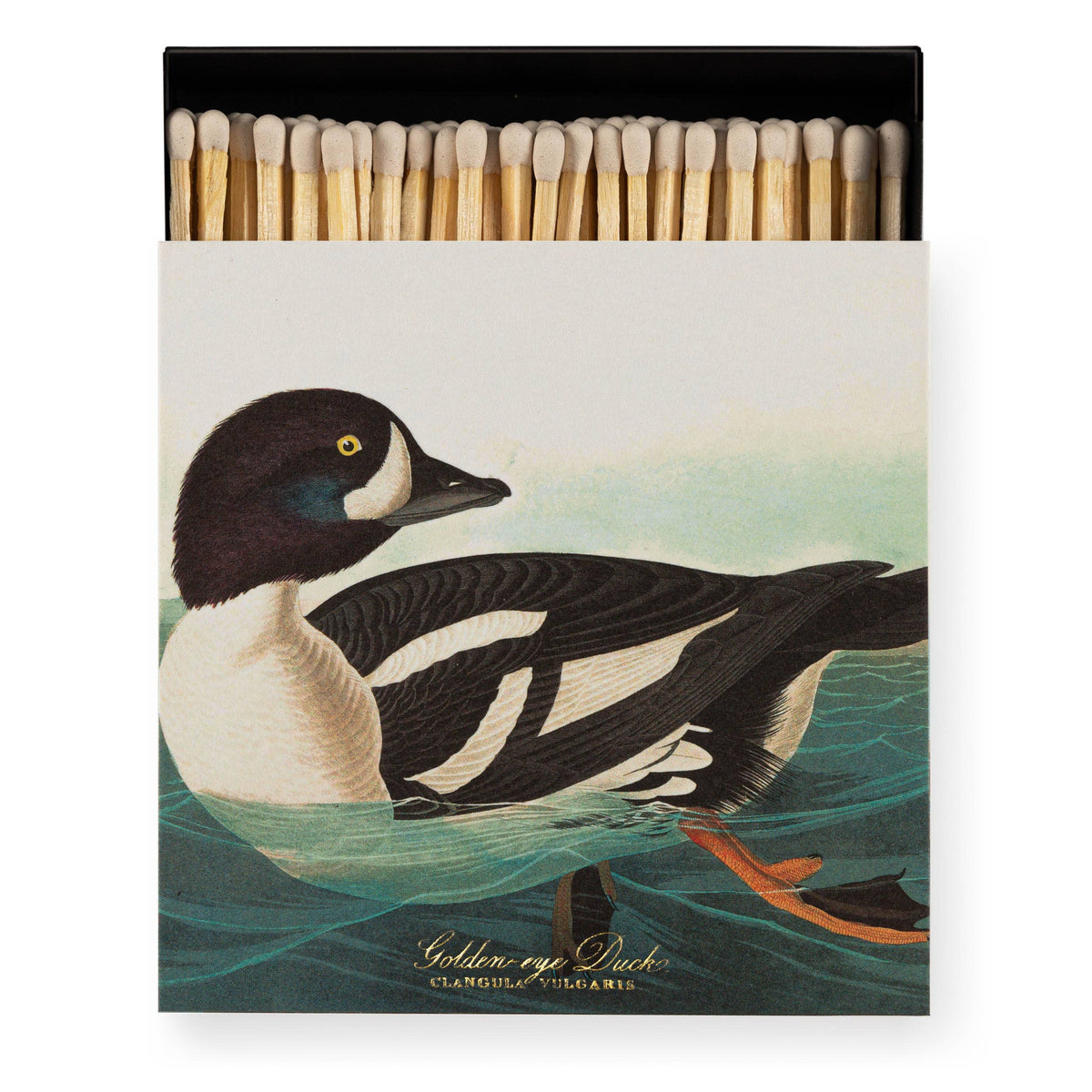 An archivist square Matchbox with a Goldeneye Duck illustration on a white background