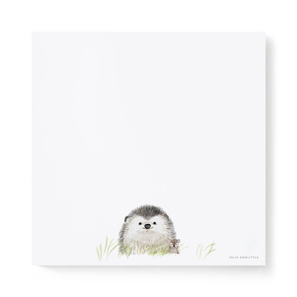Felix Doolittle square notepad featuring an Illustration of a hedgehog on a white background