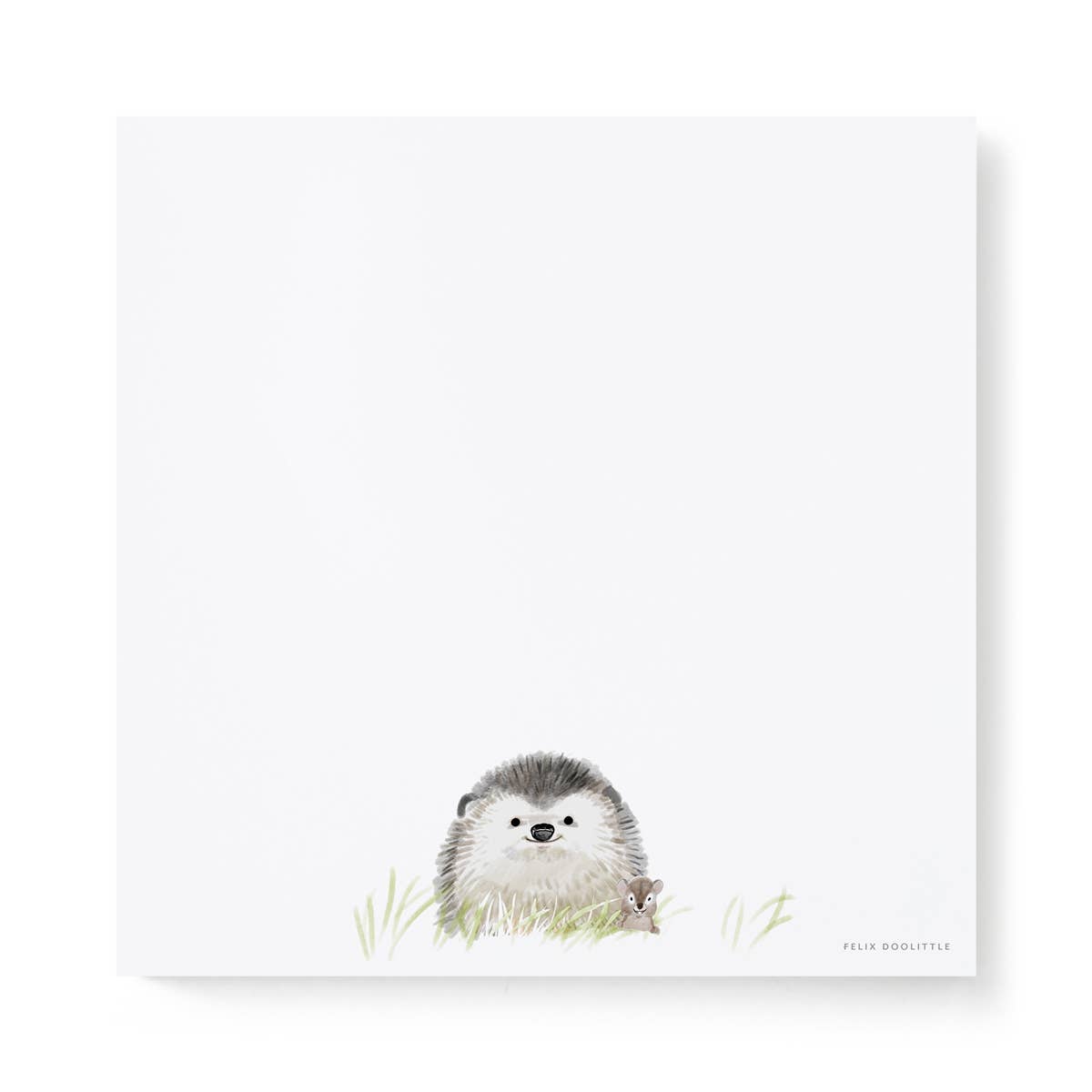 Felix Doolittle square notepad featuring an Illustration of a hedgehog on a white background