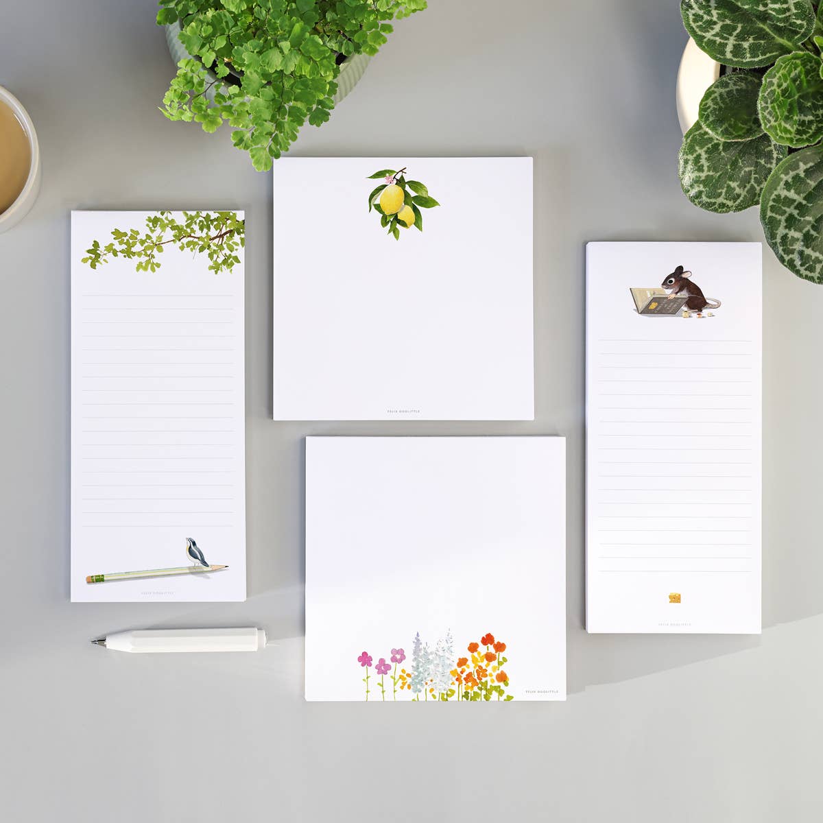 Set of four Felix Doolittle notepads with illustrations on a gray surface with plants in the background