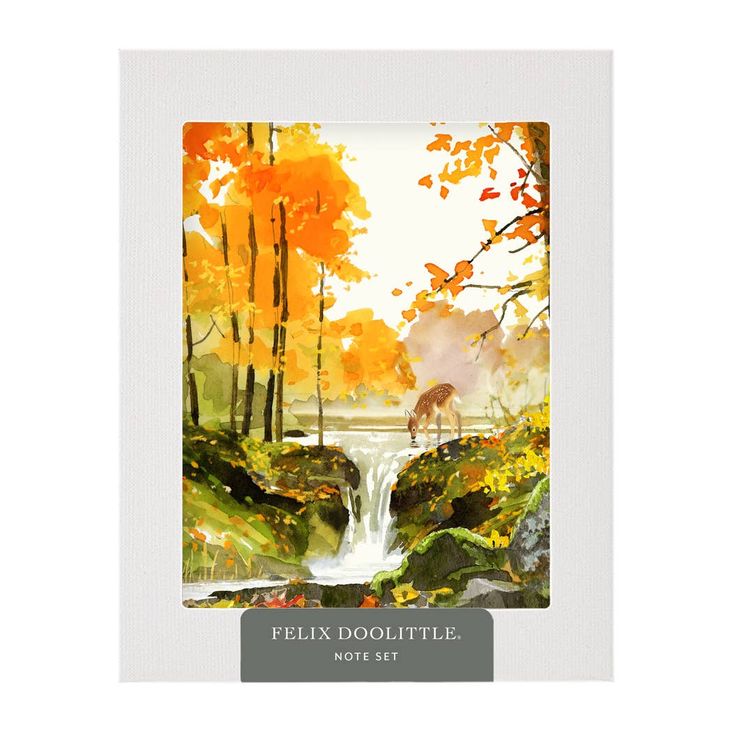Note set packaging with autumn scene and deer illustration, brand 'Felix Doolittle' visible.