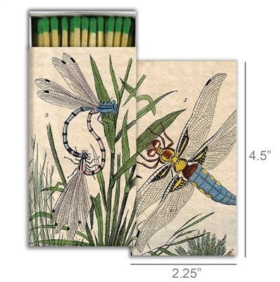 Matchbox with illustrations of dragonflies and grass on a white background