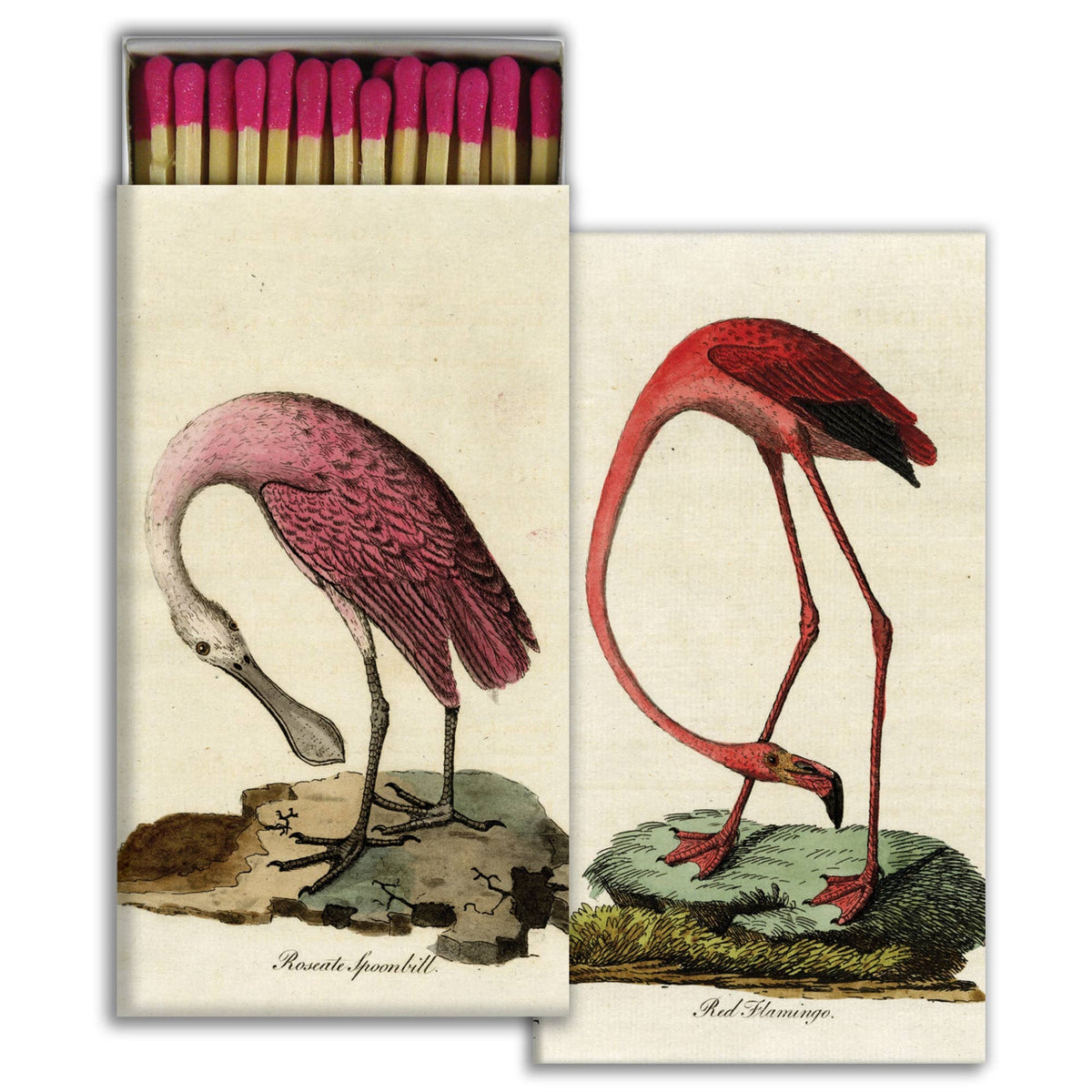 Matchbox with illustrations of a roseate spoonbill and a red flamingo on a white background
