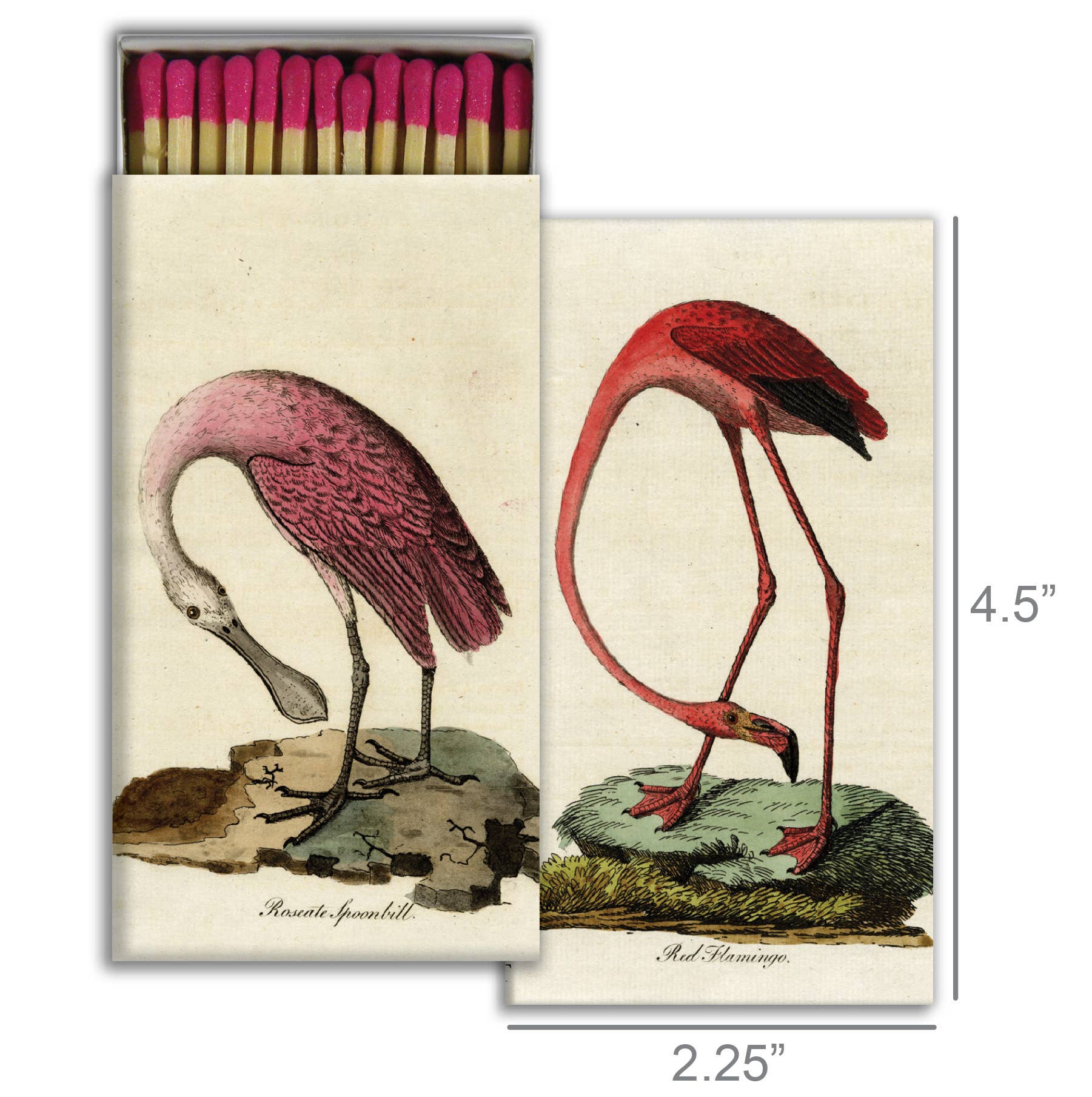 Matchbox with illustrations of a Spoonbill and a flamingo on a white background
