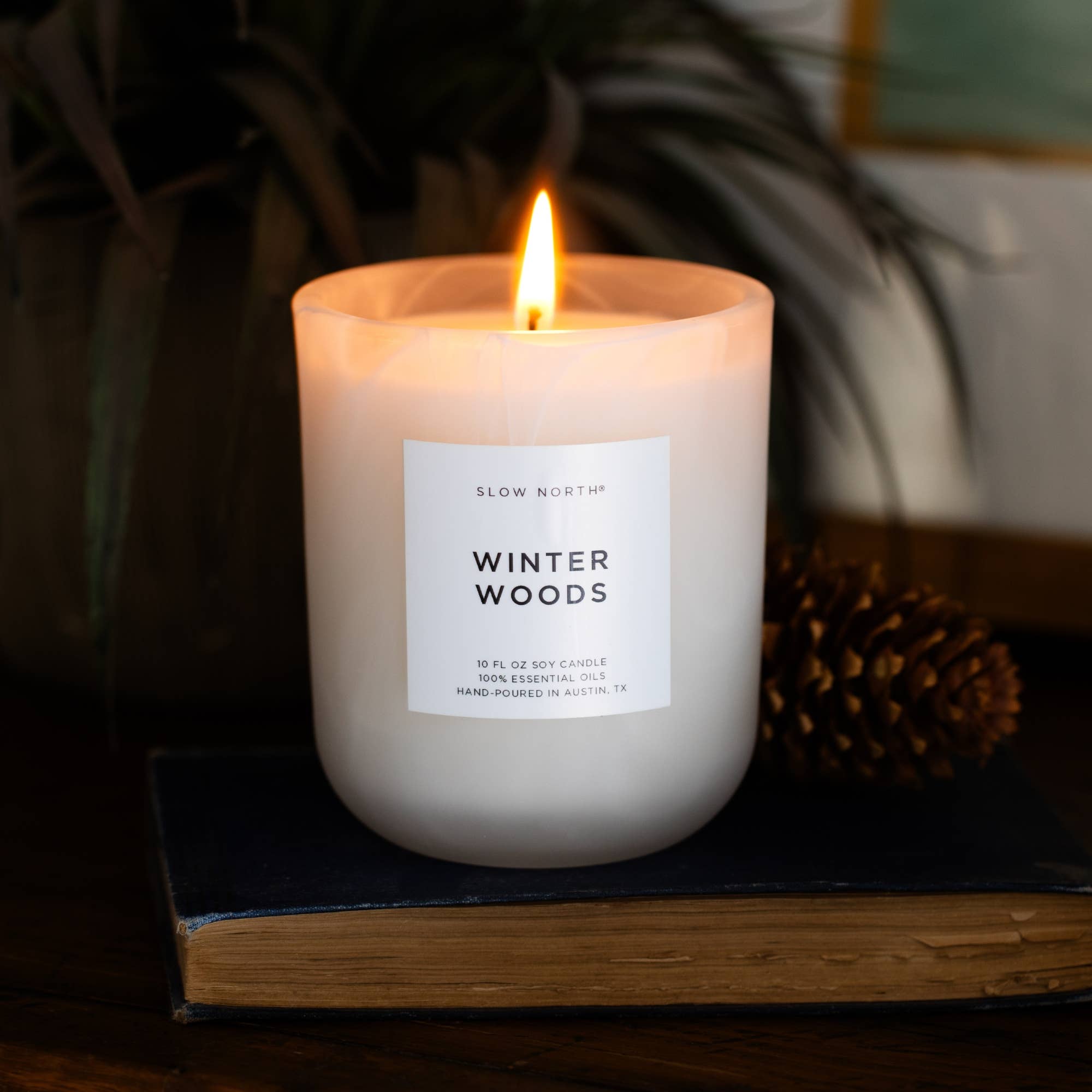A lit soy candle in a clear glass jar sits on a dark book, with a pinecone and blurred plants in the background. The front label reads 'SLOW NORTH' and 'WINTER WOODS'.