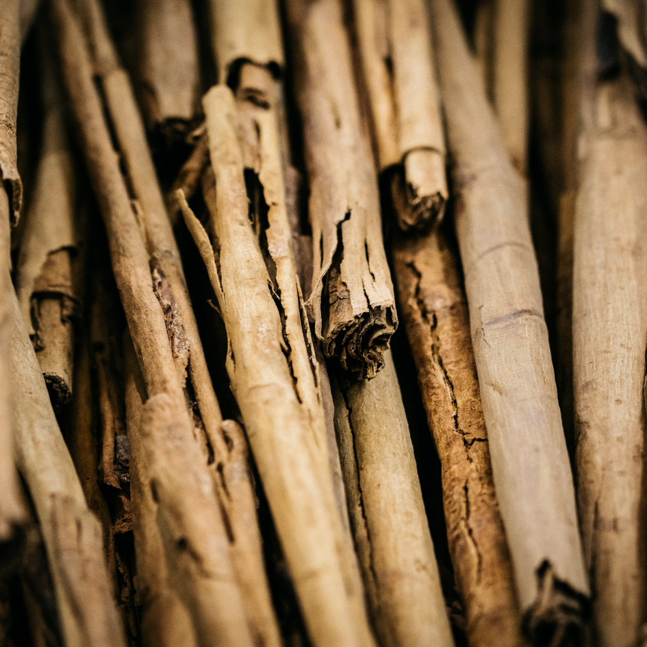 Close-up of dried cinnamon sticks