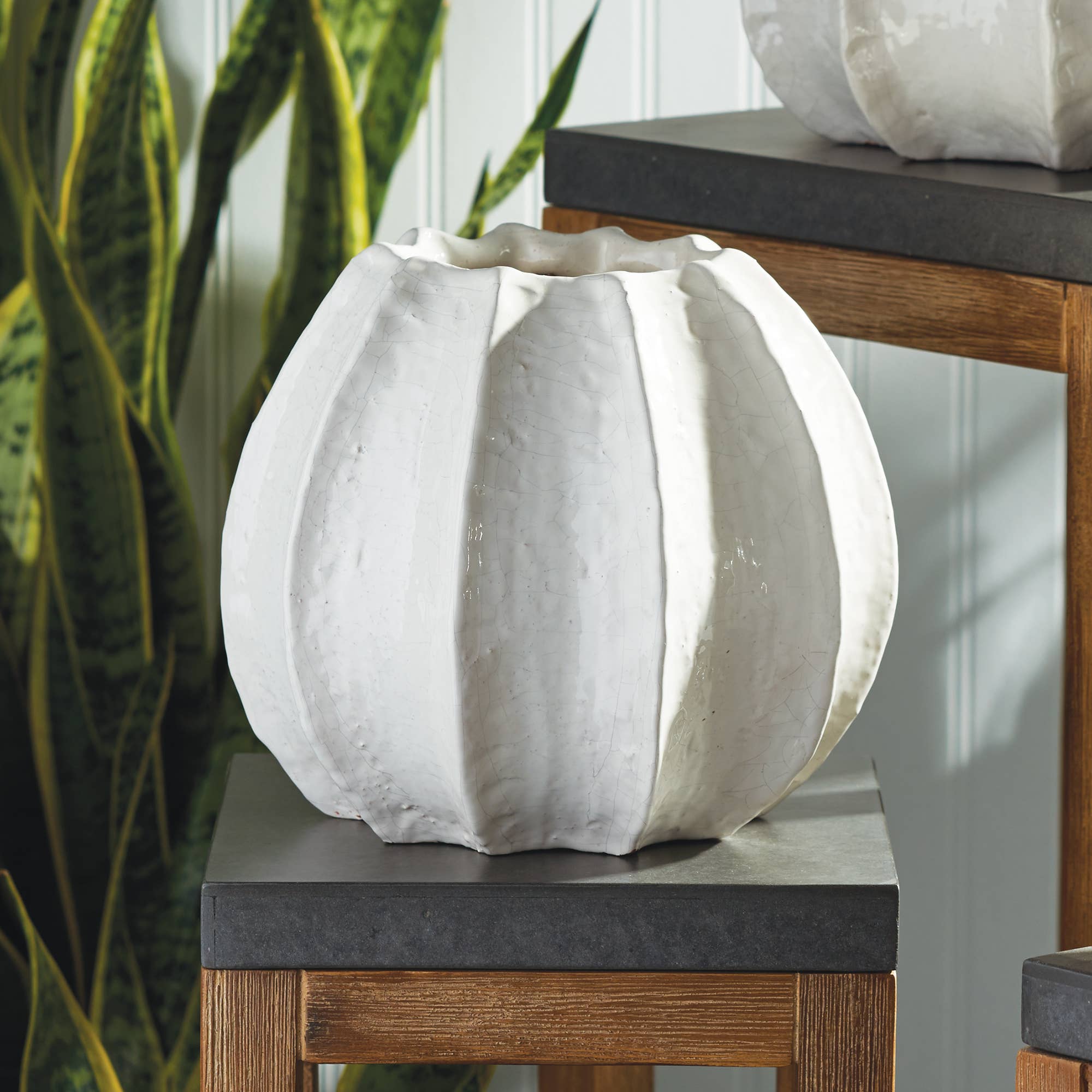 Napa Home & Garden Marina Sea Urchin Pot 8"