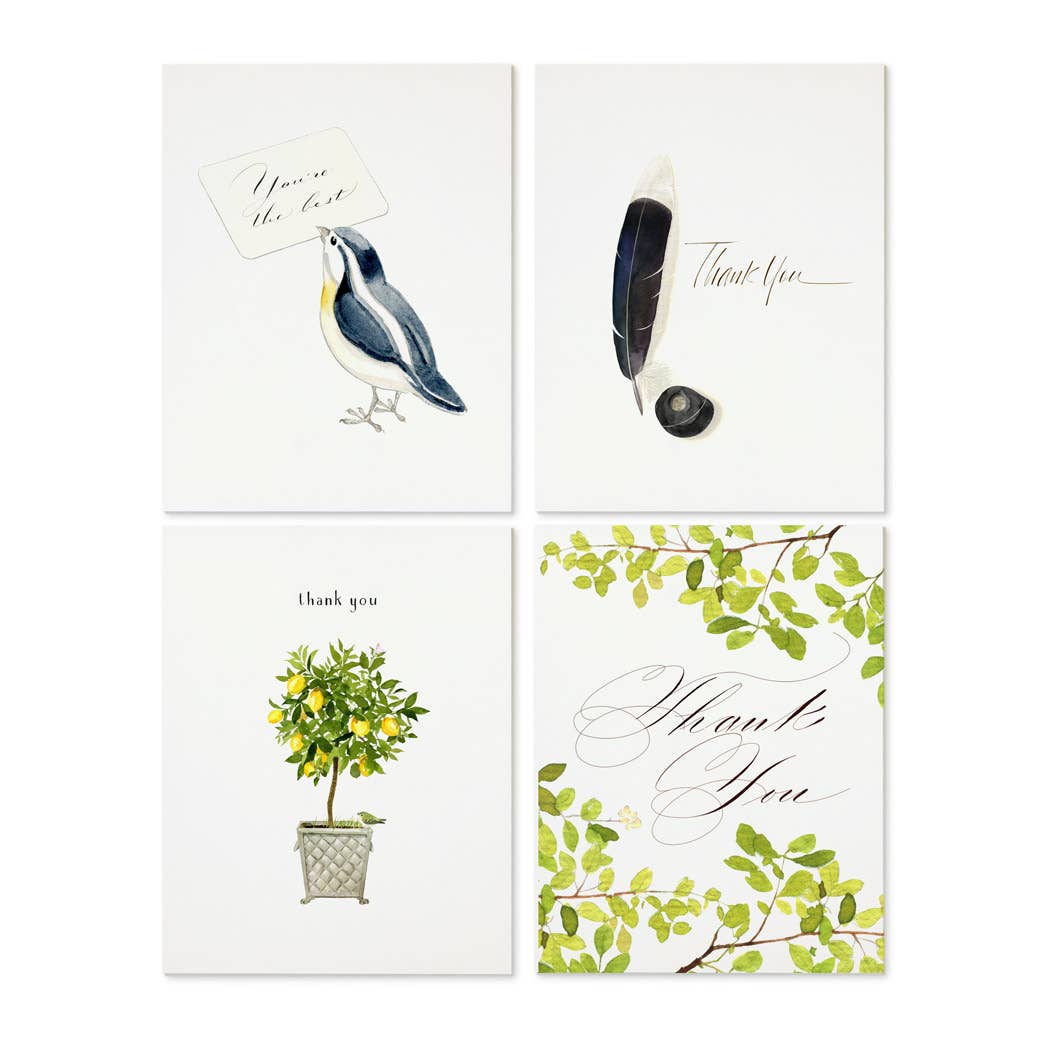 Felix Doolittle Thanks a Lot 1  -- Note Set - Themed cards, boxed