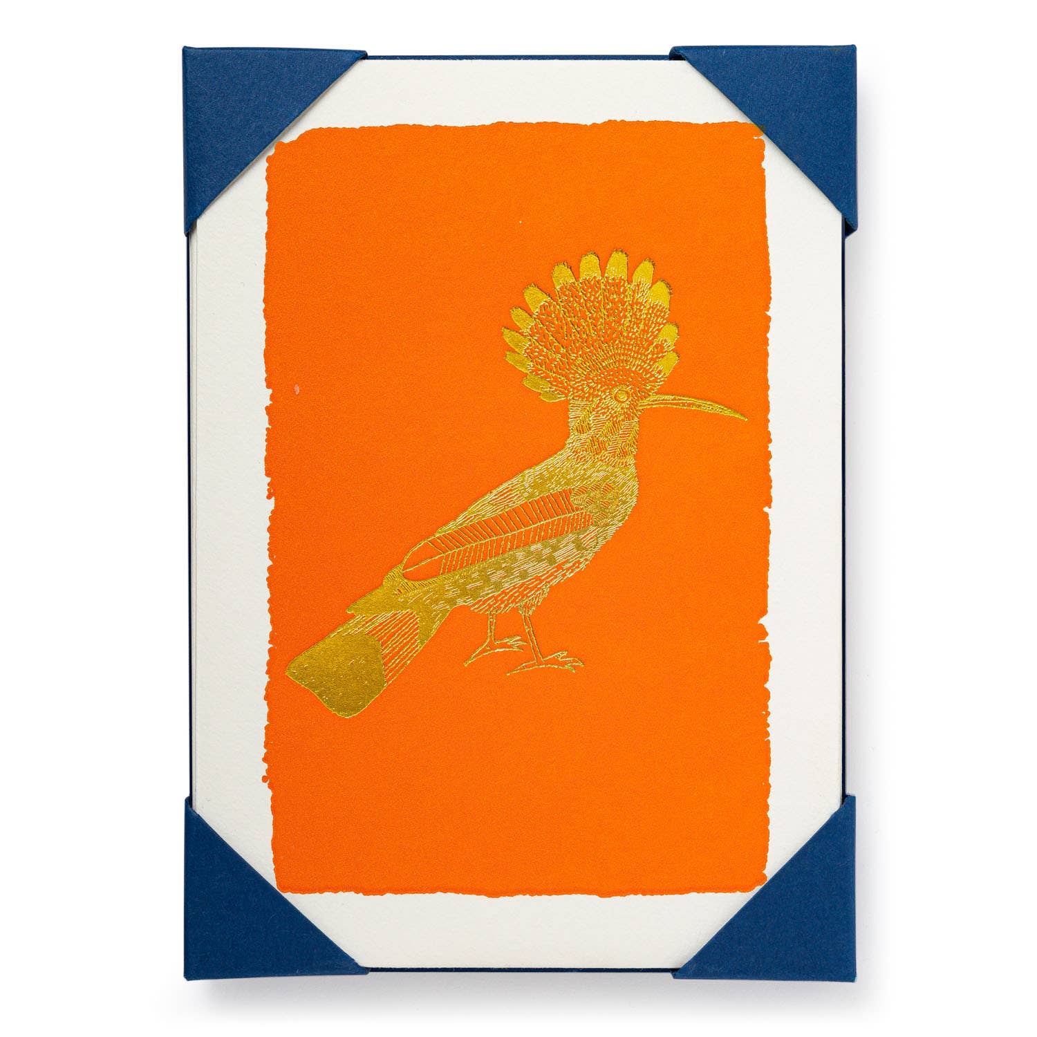 Archivist Orange Hoopoe | Notelet Card (5-Pack)